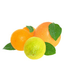 Product Category Citrus