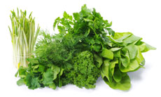 Herbs Products Image