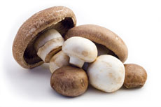 Mushroom Products Image