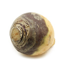 Product Category Root Vegetables