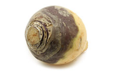 Root Vegetables Products Image