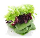 Product Category Salad Leaves