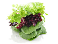Salad Leaves Products Image